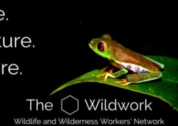 Wildwork-ImAGE